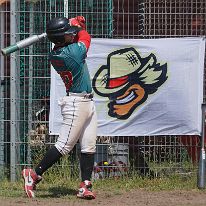 DWF_1H_2025-05-24_pic4